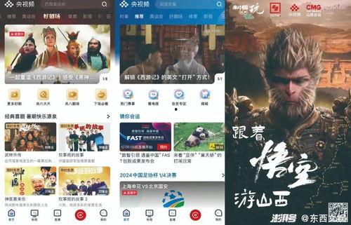 国产精品视频专区